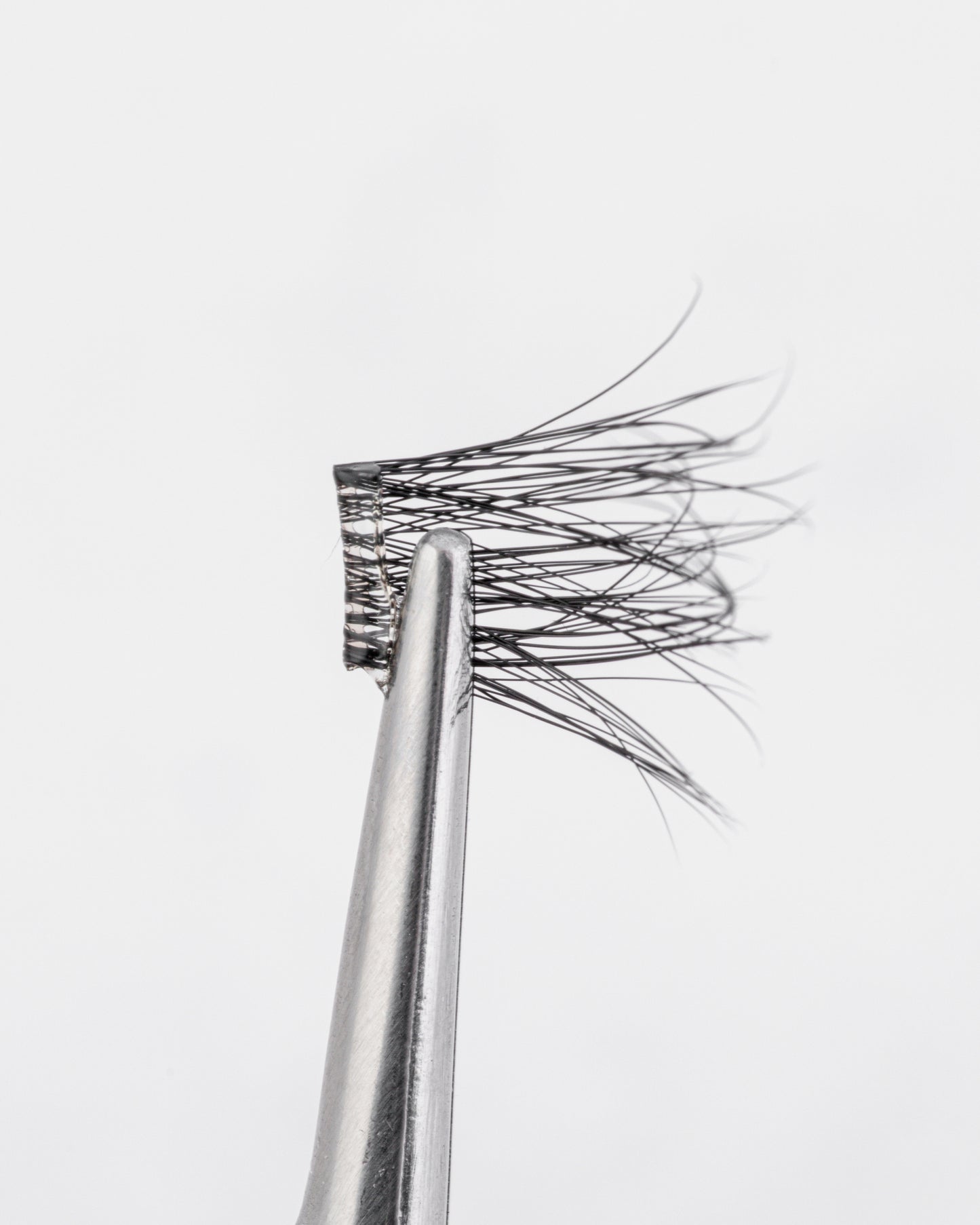 Lash Tool Only