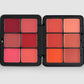 RadiantGlow Blush Palette
