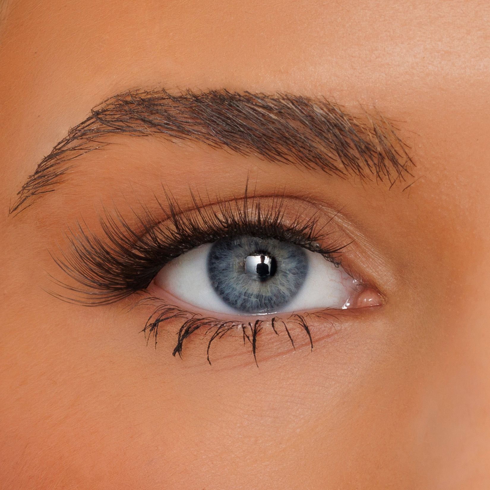 Close-up of a blue-gray eye with long black eyelashes, a filled eyebrow, and light makeup on smooth skin.