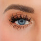 Close-up of a person's eye wearing long, dark false eyelashes with warm brown eyeshadow and a defined eyebrow.