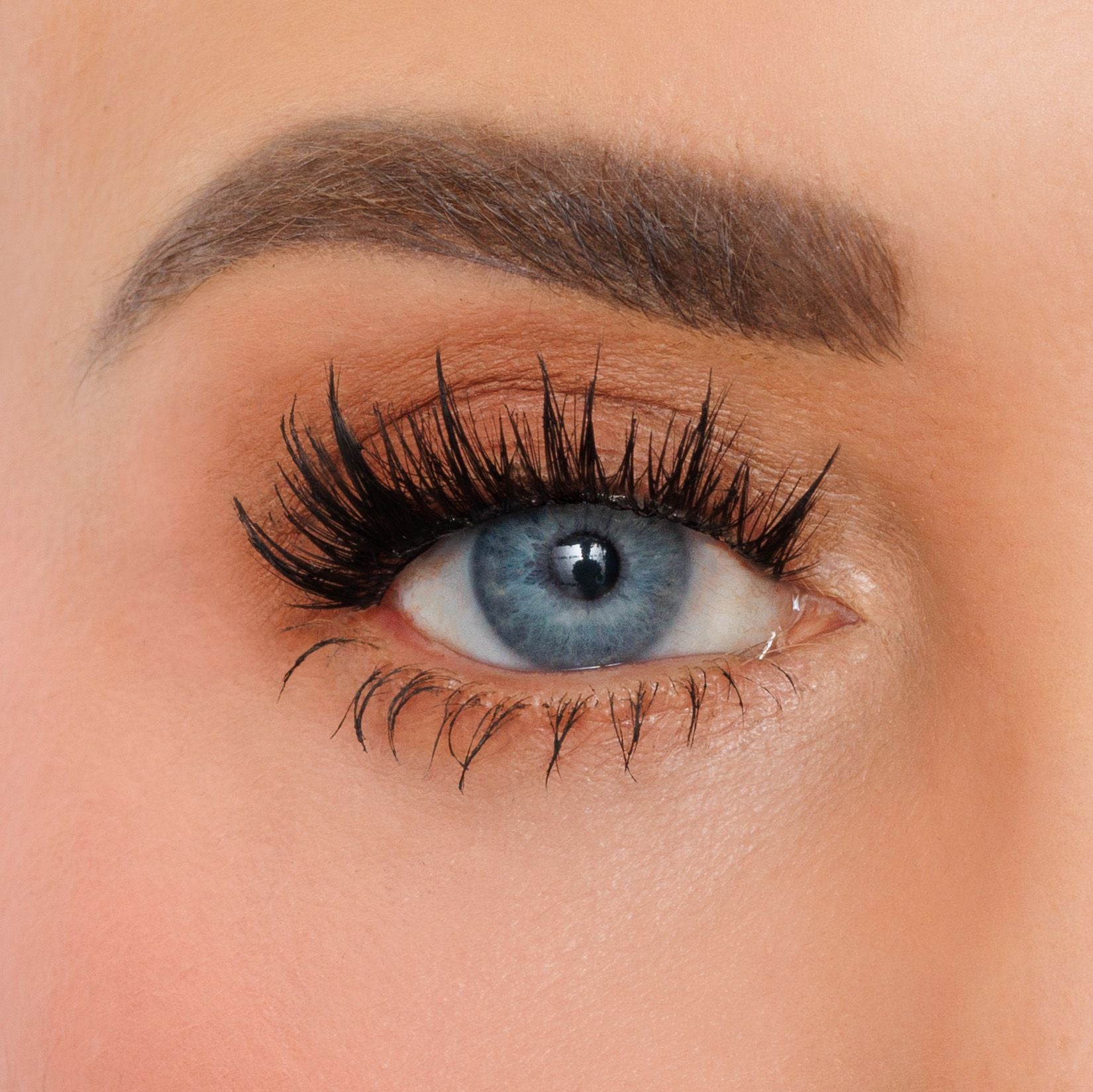 Close-up of a person's eye wearing long, dark false eyelashes with warm brown eyeshadow and a defined eyebrow.