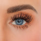 Caris lash clusters shown on Dana's eye