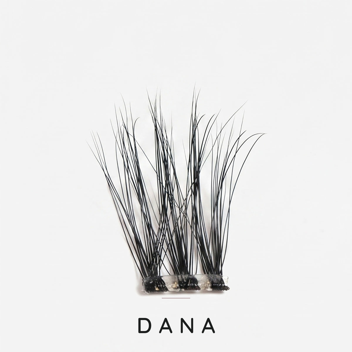 Dana lash clusters, labelled