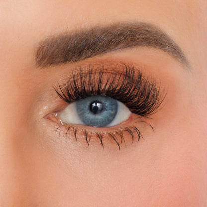 Dana lash clusters shown on Dana's eye