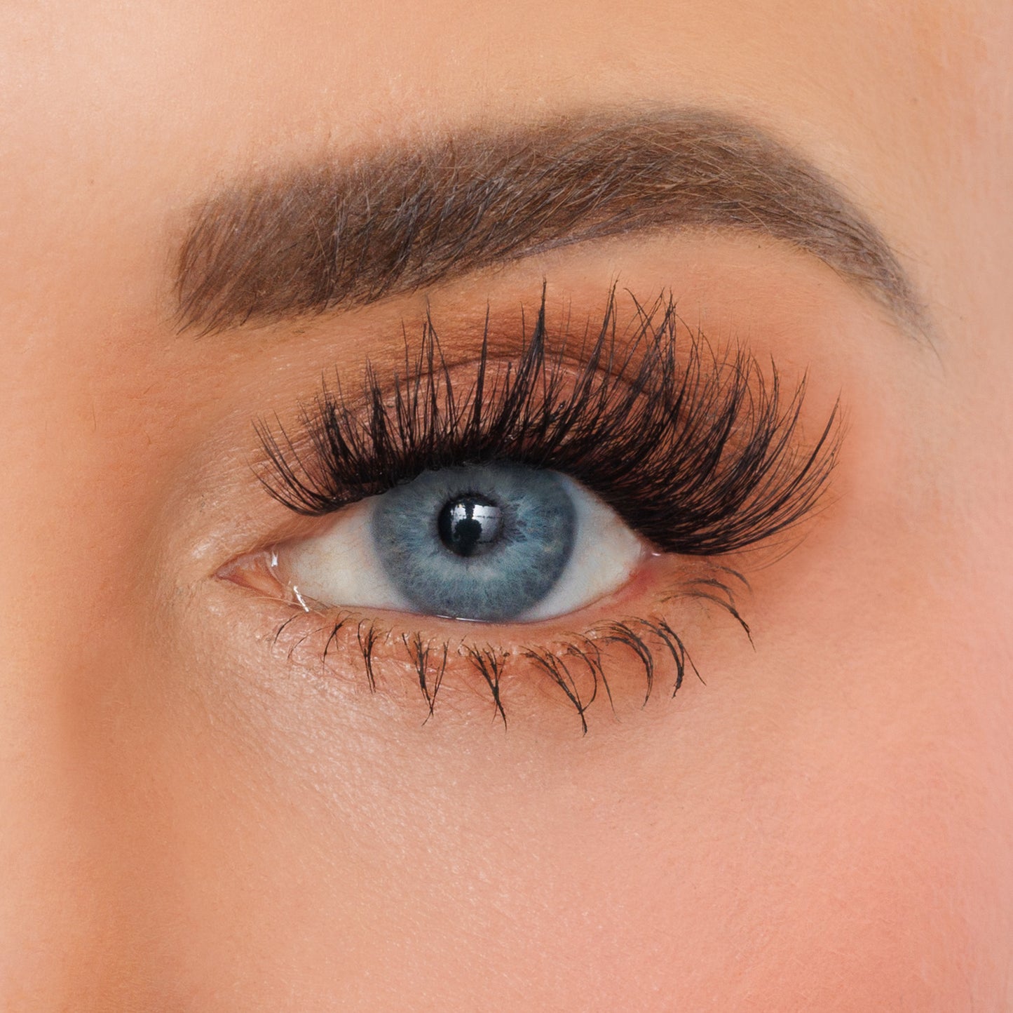 Legacy lash clusters shown on Dana's eye
