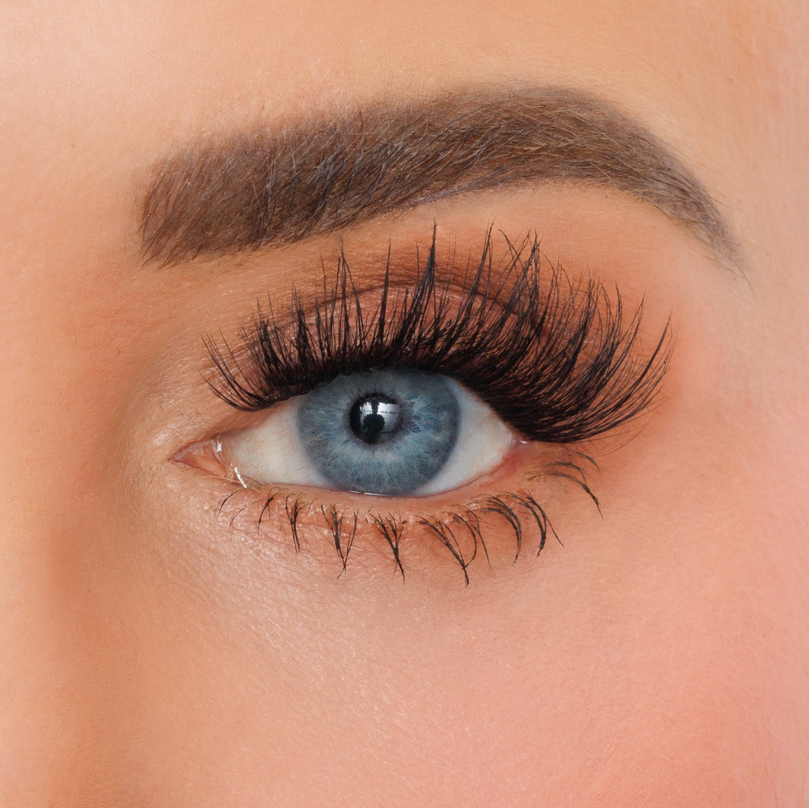 Legacy lash clusters shown on Dana's eye