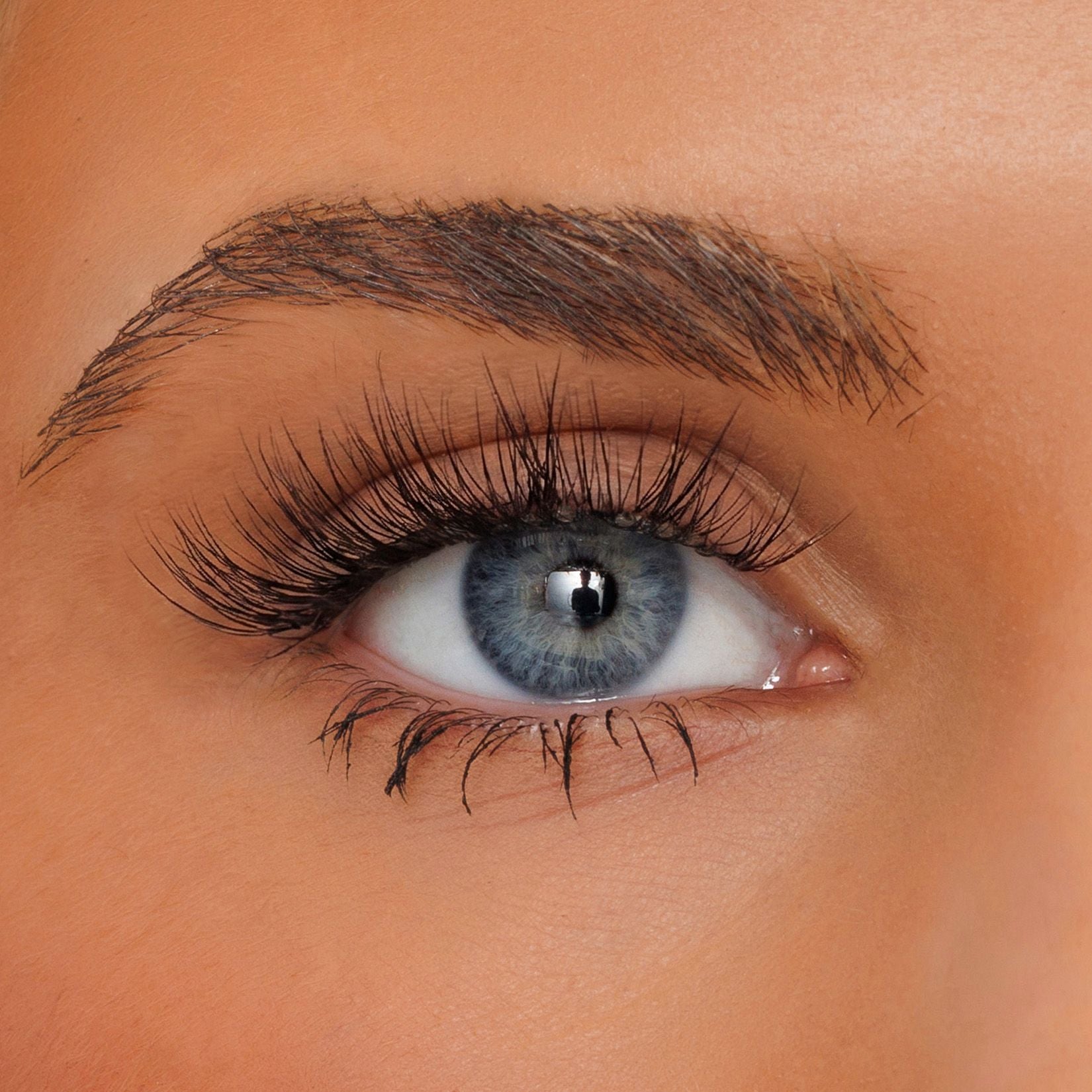 Close-up of a human eye with long black eyelashes and a defined eyebrow on smooth tan skin.